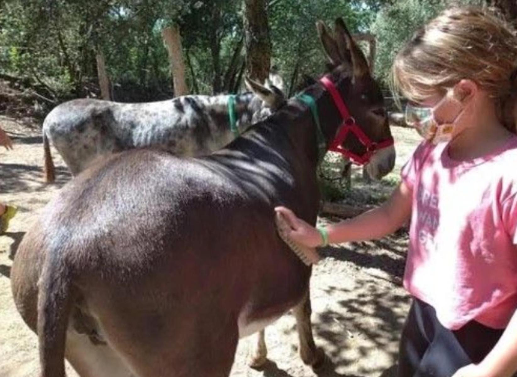 Canyamás Spa Ibiza Dosrius מראה חיצוני תמונה